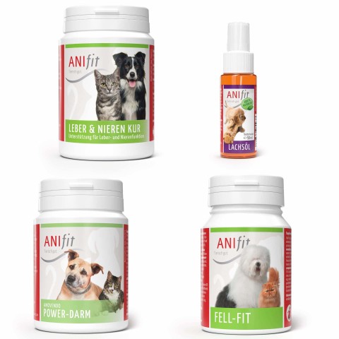 Cat Dog Supplements Fit Start 50g 1 Set with various products -1- Anifit